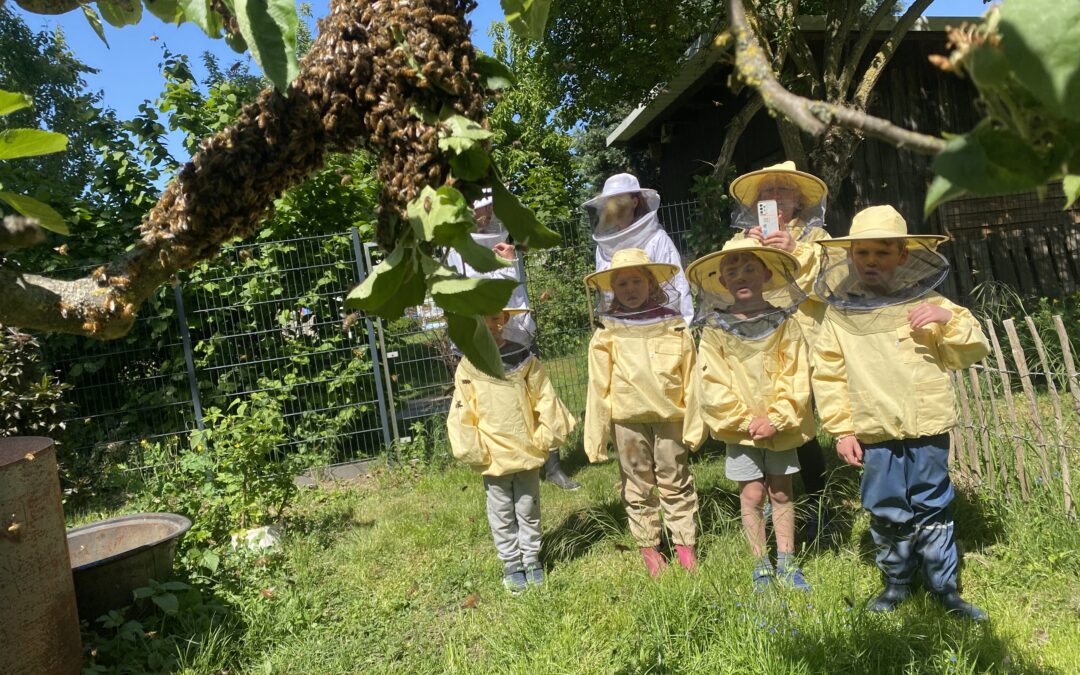 Kindergarten begleitet Bienen durch das Jahr