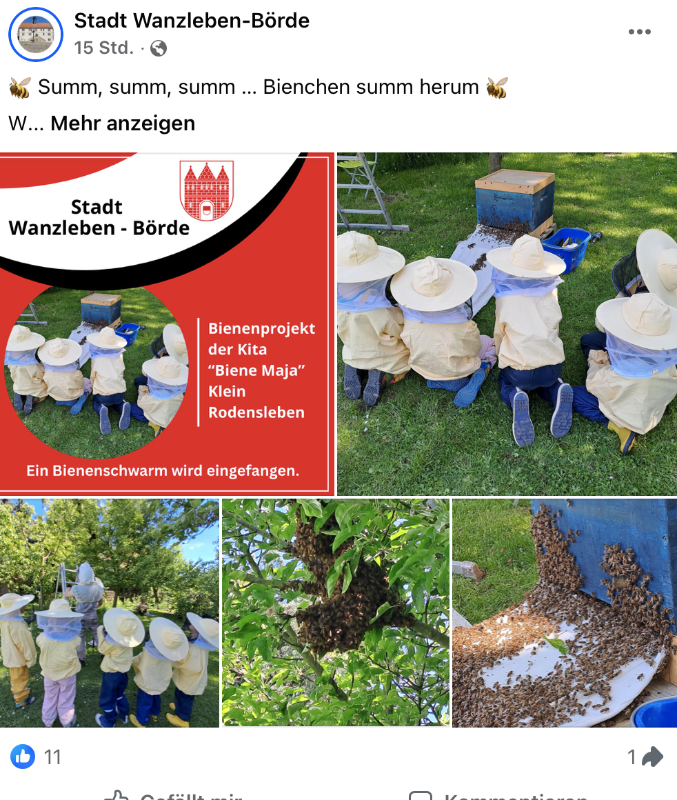 Schwarmfang mit Kindergarten