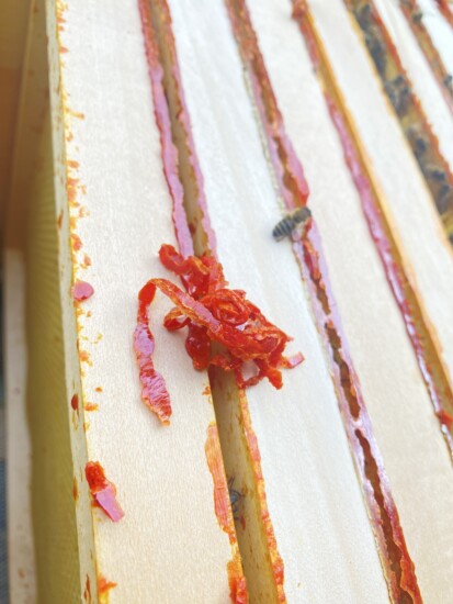 Propolis, eine harzige Natursubstanz